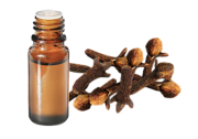 Huile essentielle Girofle clou BIO