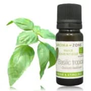 catalogue_he_basilic-tropical_bio_4