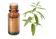 Olio essenziale di verbena odorosa BIO