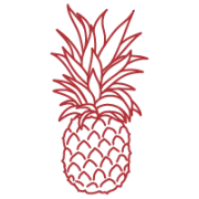 ananas.webp