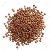 Lentilles
