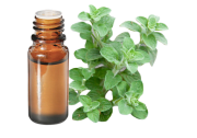 Olio essenziale Origano kaliteri