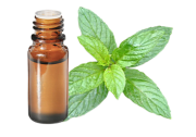 Olio essenziale di Menta citrata