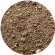 terreimage