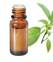 Huile essentielle Ravintsara (Ravintsare) BIO
