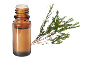 Olio essenziale di Tea tree (Albero del tè)