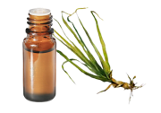 Huile essentielle Palmarosa BIO