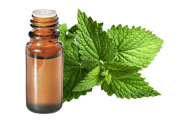  Huile essentielle Menthe poivrée de Provence BIO