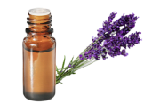 Huile essentielle Lavandin grosso de Provence BIO