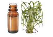 Huile essentielle Citronnelle de Java BIO