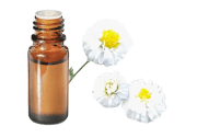 Olio essenziale di Camomilla romana Francia BIO
