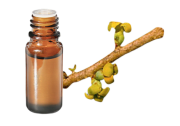 Huile essentielle Saro BIO