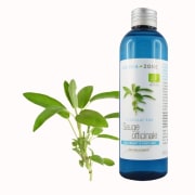 Hydrolat Sauge officinale BIO