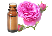 Huile essentielle de Rose