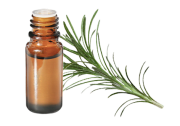 Olio essenziale di Rosmarino cineolo