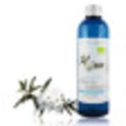 catalogue_hy_ledon-du-groeland.jpg