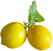 plante_citron_0