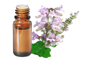 Olio essenziale di Salvia sclarea