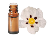 Huile essentielle Ciste ladanifère BIO