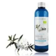 Hydrolat de Lédon Groenland BIO