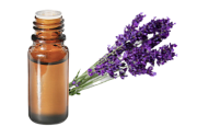 Huile essentielle de lavandin super de provence bio