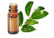 Olio essenziale di Cannella tamala BIO