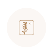 illustration shop generic 600x600