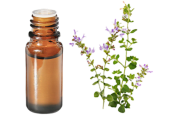 Huile essentielle Sarriette BIO