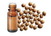  Huile essentielle Coriandre BIO