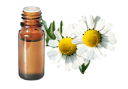 Olio essenziale di Camomilla tedesca BIO