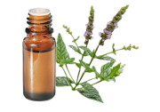Huile essentielle Menthe verte BIO