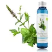 Hydrolat de menthe verte