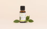 Olio essenziale di Alloro
