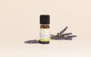 Huile essentielle Lavande fine Altitude AOP Provence