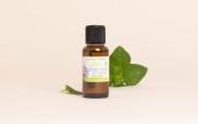 Clary sage essential oil