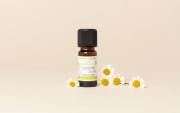 Roman chamomile essential oil