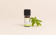 Huile essentielle Verveine odorante BIO