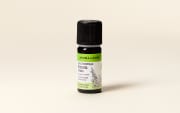 Huile essentielle Encens oliban