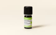 Helichrysum italicum essential oil