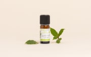Olio essenziale di Alloro