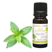 Bergamot mint essential oil