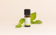 Huile essentielle Basilic tropical BIO