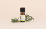 Olio essenziale di Cipresso di Provenza