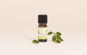 Olio essenziale di Maggiorana dolce (conchiglie) BIO