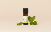 Huile essentielle Menthe poivrée BIO