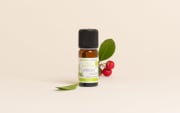 Olio essenziale di Lentisco
