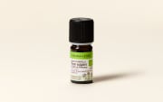 Olio essenziale di Timo linalolo della Provenza BIO