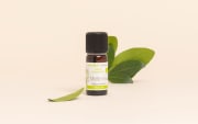Olio essenziale di Mirto rosso BIO