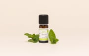 Huile essentielle Menthe verte BIO