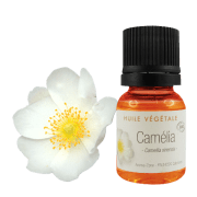 Olio di camelia biologico